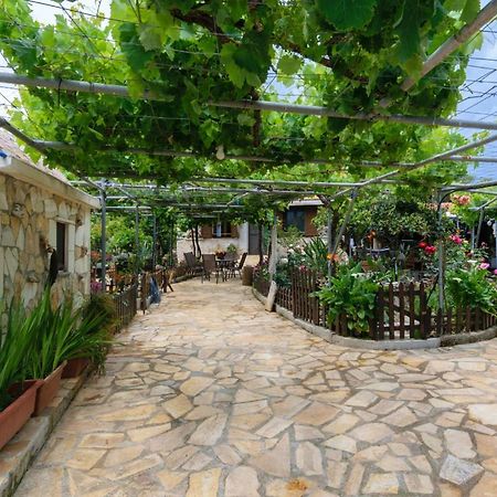Dimitris'S Country House Agia  Dış mekan fotoğraf