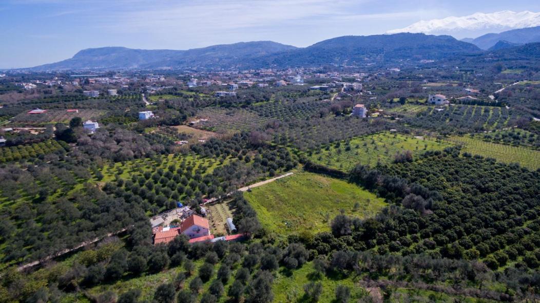 Dimitris'S Country House Agia  Dış mekan fotoğraf