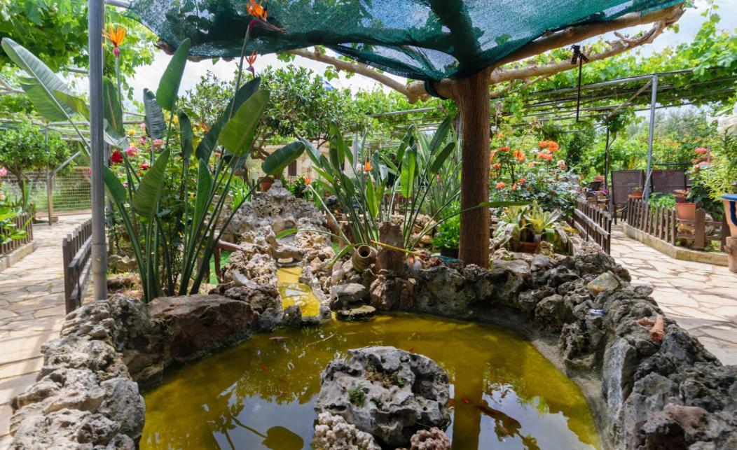 Dimitris'S Country House Agia  Dış mekan fotoğraf