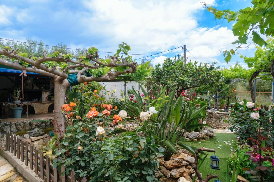 Dimitris'S Country House Agia  Dış mekan fotoğraf