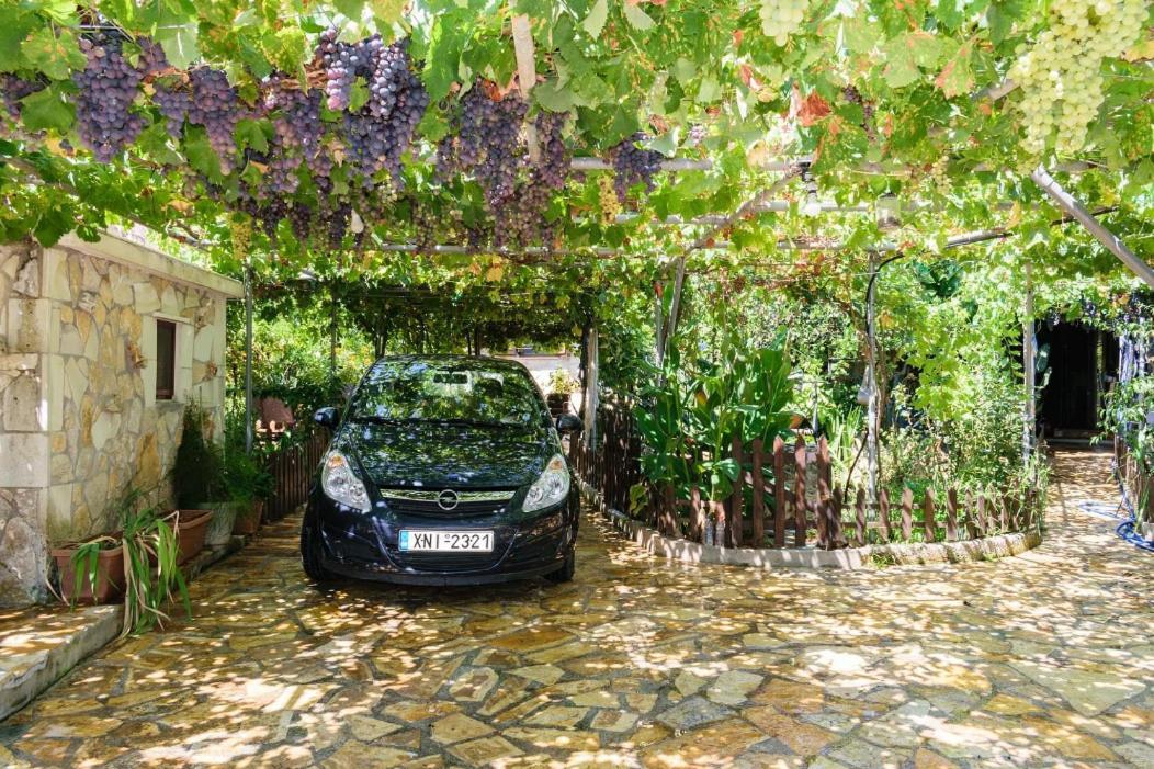 Dimitris'S Country House Agia  Dış mekan fotoğraf