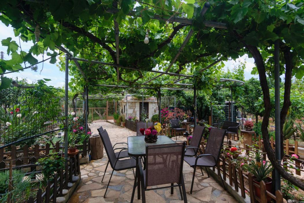 Dimitris'S Country House Agia  Dış mekan fotoğraf