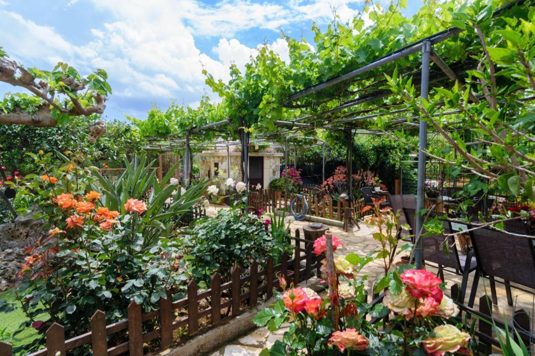Dimitris'S Country House Agia  Dış mekan fotoğraf