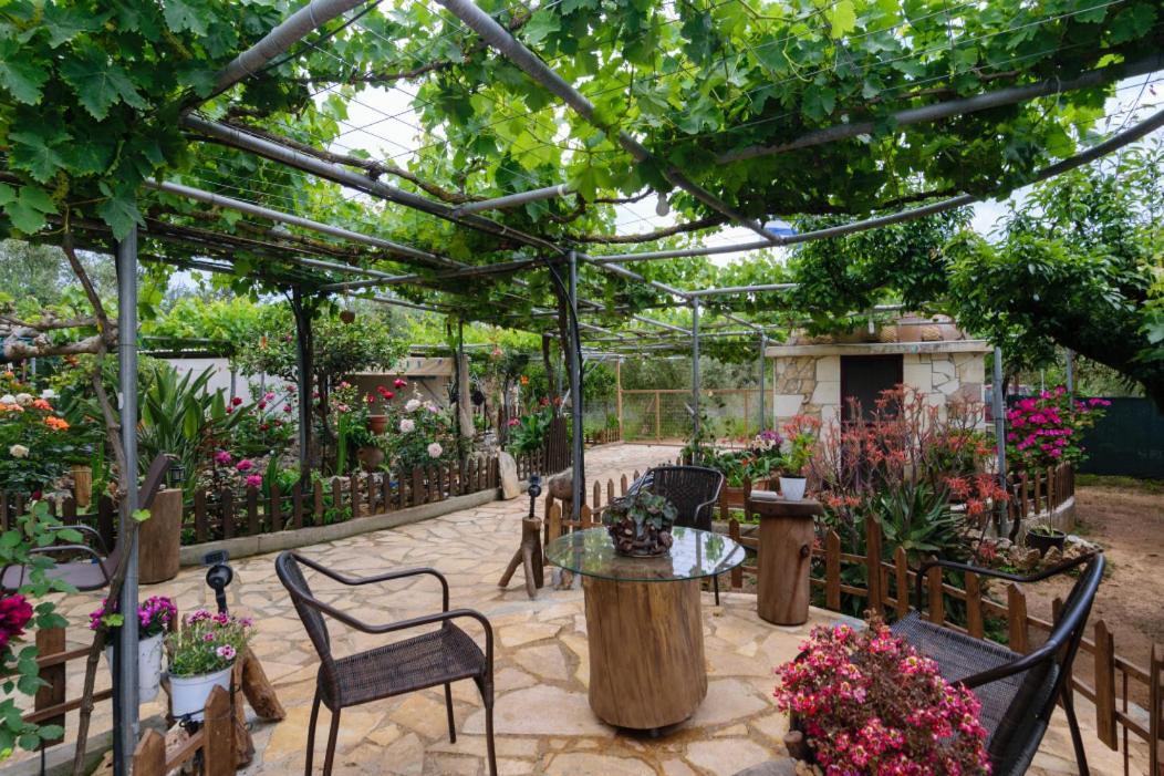 Dimitris'S Country House Agia  Dış mekan fotoğraf
