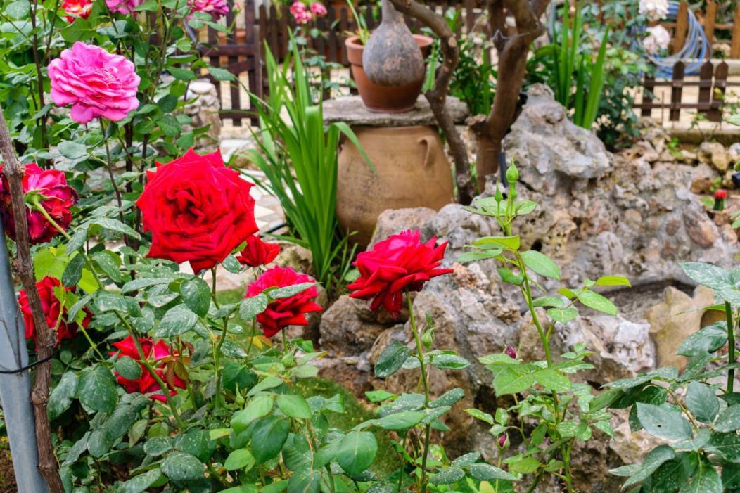 Dimitris'S Country House Agia  Dış mekan fotoğraf