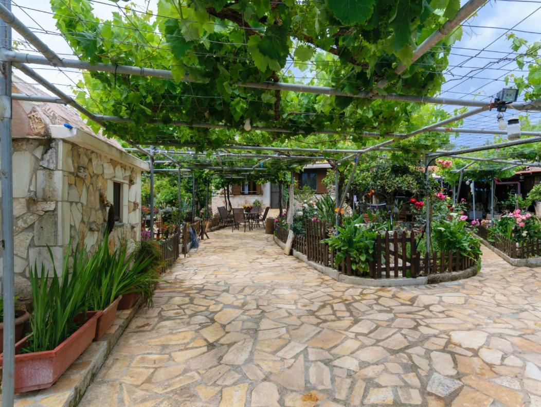 Dimitris'S Country House Agia  Dış mekan fotoğraf